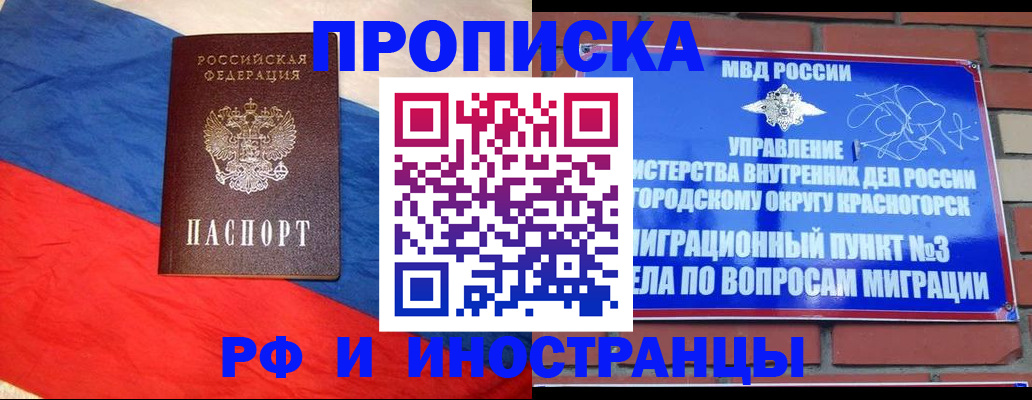 временная регистрация для всех в Никольском